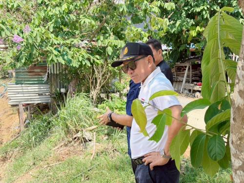 พช.โป่งน้ำร้อน ร่วมกับทีมผู้นำการเปลี่ยนแปลงตำบลหนองตาคง ติดตามและดูแลการเจริญเติบโตของผักในโครงการสะพานเชื่อมใจ ปลูกผักให้ชุมชน